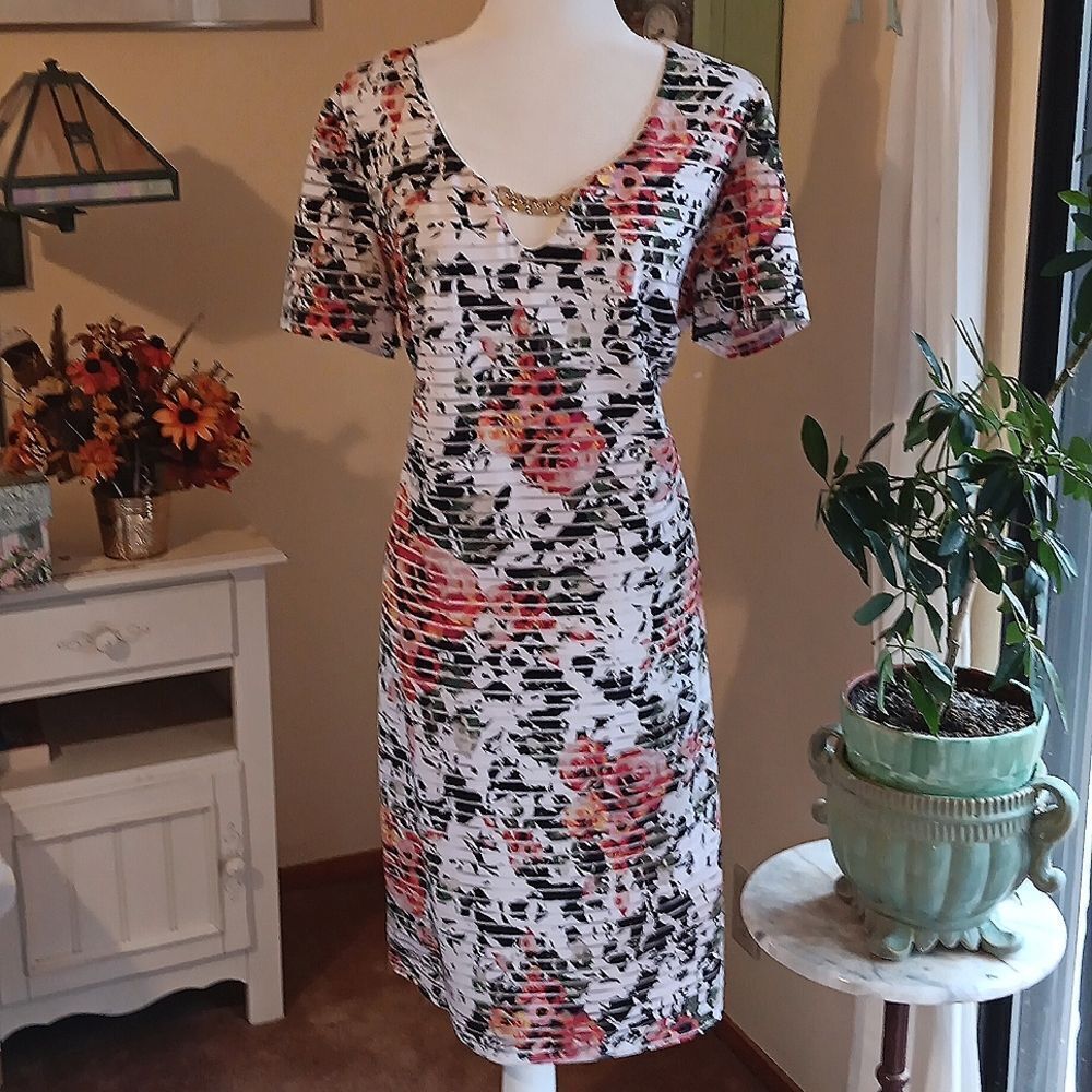 Glamour Stripe Sheer Sheath Dress. Illusion Stripes, Floral